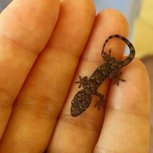 Meet your Posher, June